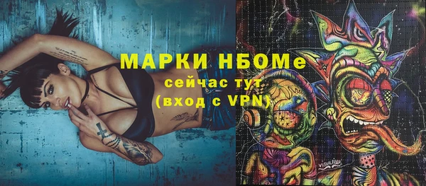 хмурый Вяземский