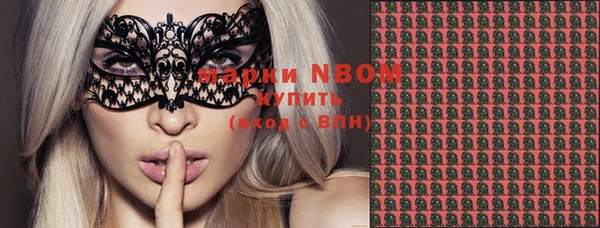 хмурый Вяземский