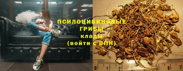 хмурый Вяземский