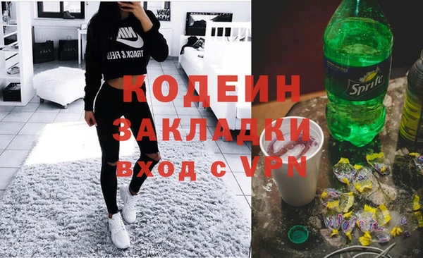 хмурый Вяземский