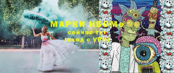 хмурый Вяземский